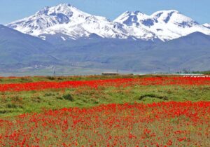 موافقت وزارت میراث فرهنگی، گردشگری و صنایع دستی با ثبت جهانی سبلان