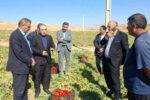 تصویب ۶۱ طرح اشتغالزایی و سرمایهگذاری در شهرستان کوثر با تأمین مالی ۵۰۰میلیارد تومانی