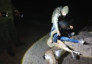 شکارچی بز کوهی طی تعقیب و گریز ۴ساعته شبانه در شهرستان کوثر دستگیر شد