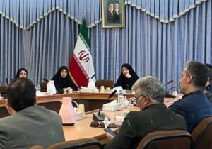 سازمانهای مردمنهاد در کاهش آسیبهای اجتماعی نقش موثری دارند