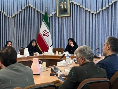سازمانهای مردمنهاد در کاهش آسیبهای اجتماعی نقش موثری دارند