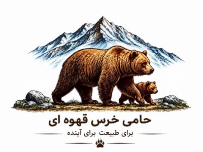 ۲۱ ماه حبس برای عاملان اتلاف خرس قهوهای سبلان