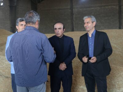 بیش از ۲۲۰هزار تن گندم در استان اردبیل خریداری شده است